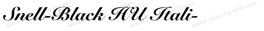 Snell-Black HU Itali字体转换
